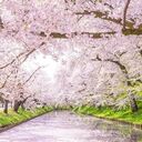リラのセレクトショップ
